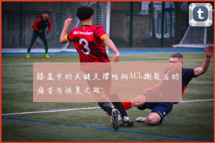 膝盖中的关键支撑结构ACL撕裂后的痛苦与恢复之路