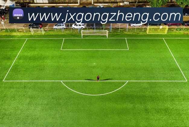 战术分析频道